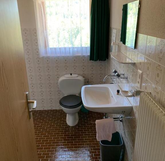 高级单人间, Adler