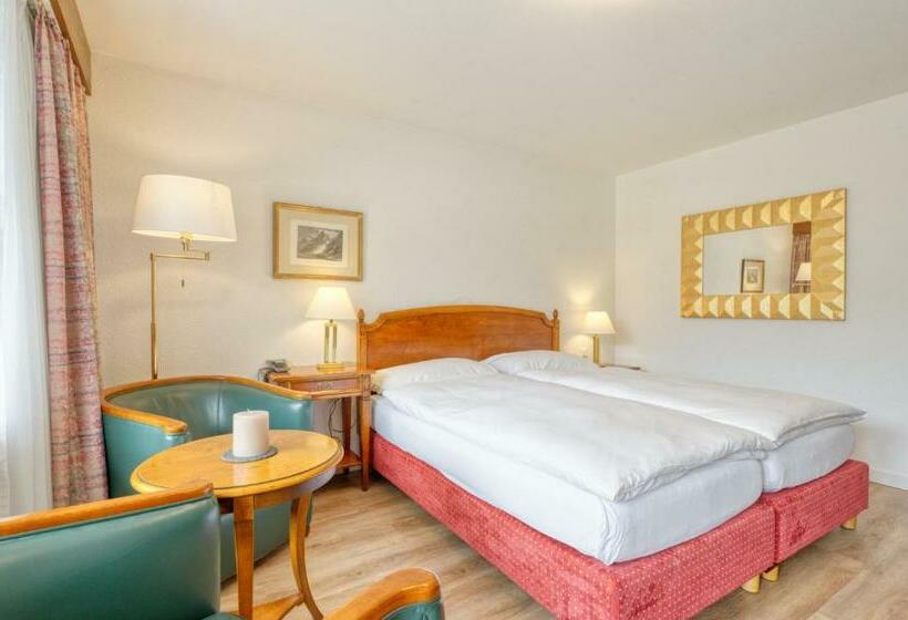 غرفة قياسية ذات إطلالة, Arca Solebad & Spa