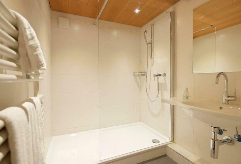 غرفة قياسية ذات إطلالة, Arca Solebad & Spa