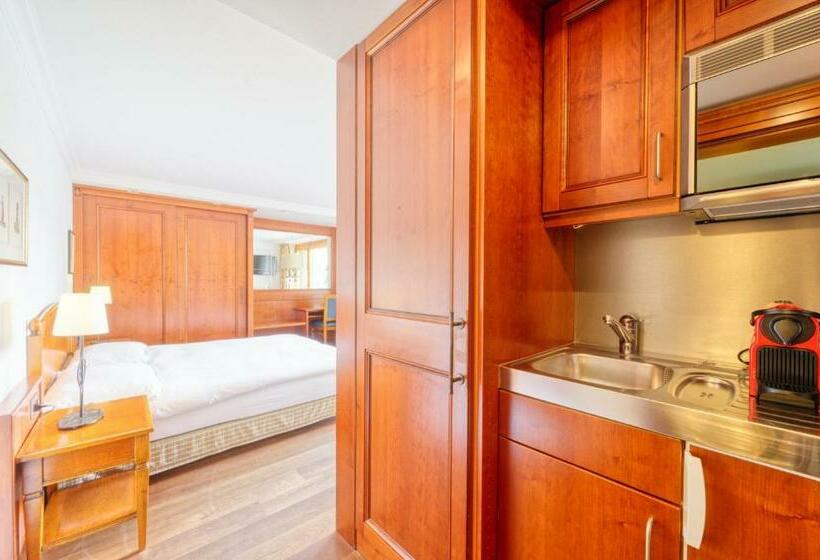 غرفة قياسية مطلة على الجبل, Arca Solebad & Spa