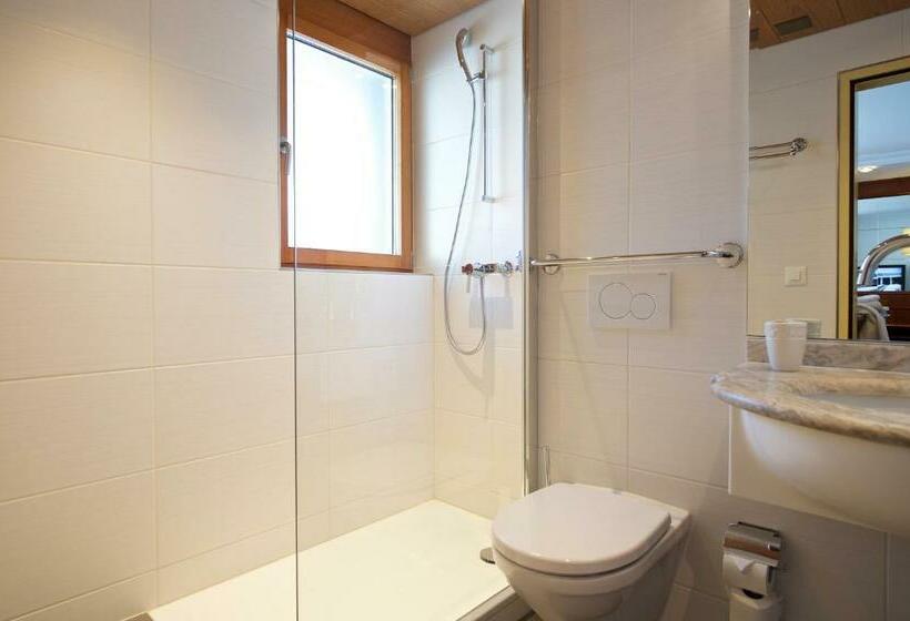 غرفة قياسية مطلة على الجبل, Arca Solebad & Spa