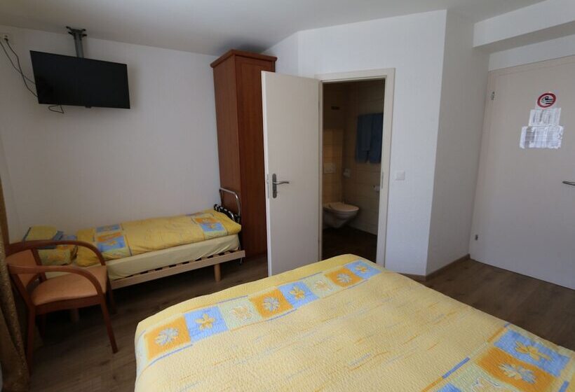 Номер Стандарт Трехместный, Du Quai