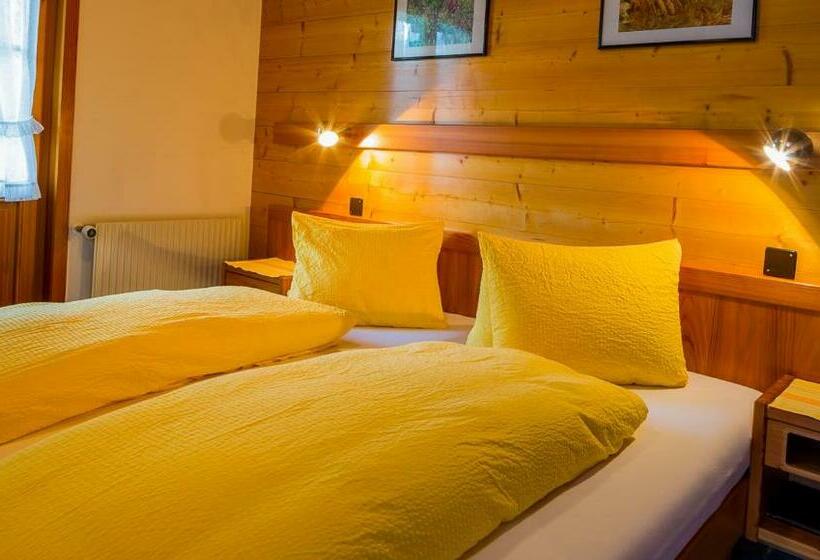Номер Стандарт с Балконом, Swiss Lodge Joopi