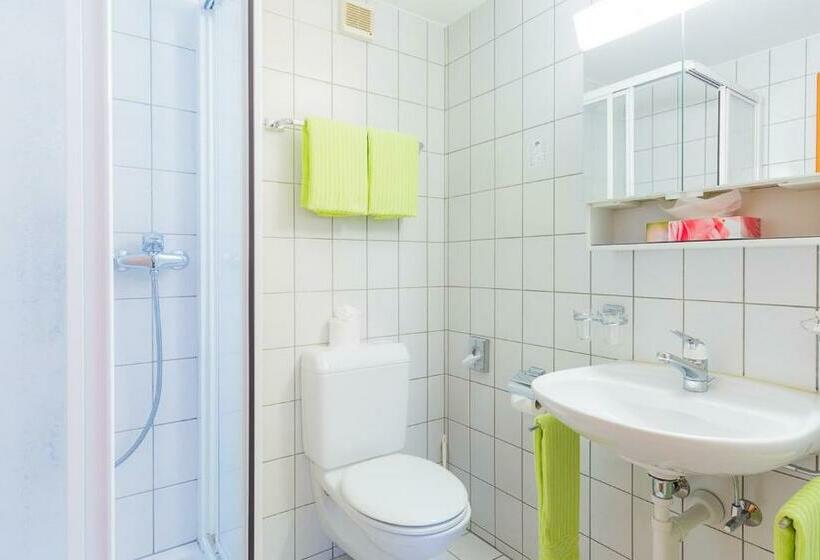 חדר סטנדרט יחיד, Swiss Lodge Joopi