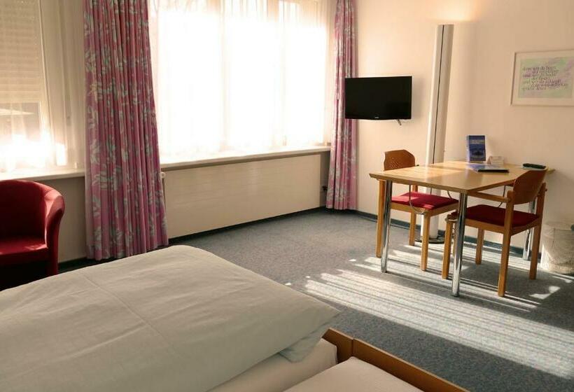 חדר סטנדרט, Landli