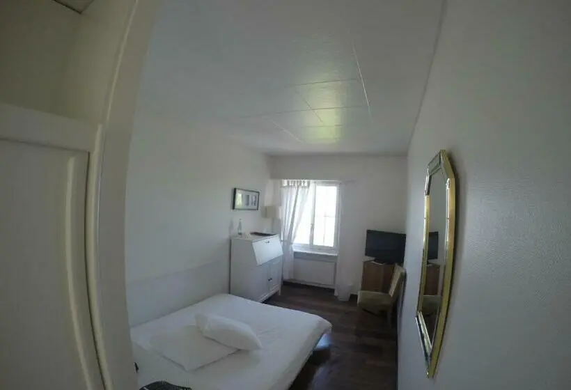 Standard Yhden Hengen Huone, Schiff Am See