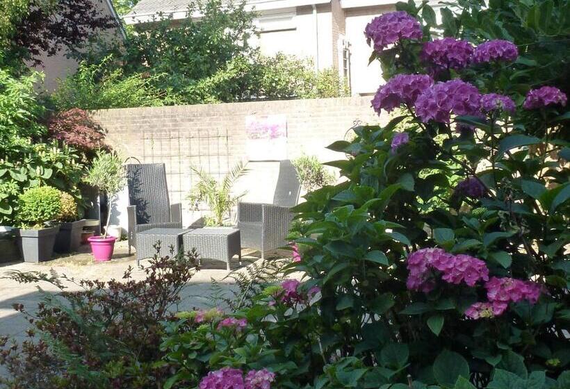 اتاق خانوادگی, B&b Acacia