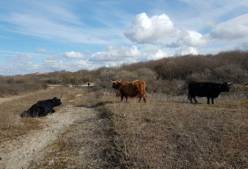 غرفة عائلية, B&b Beach Inn