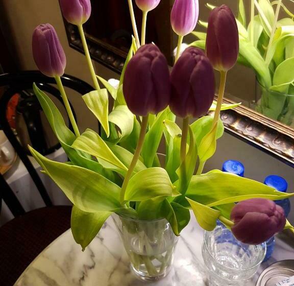 غرفة قياسية, B&b Wladimir Studios