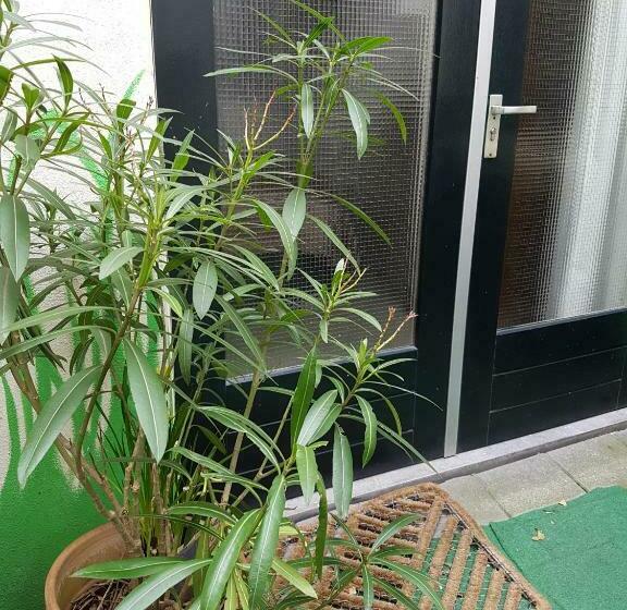 غرفة قياسية, B&b Wladimir Studios