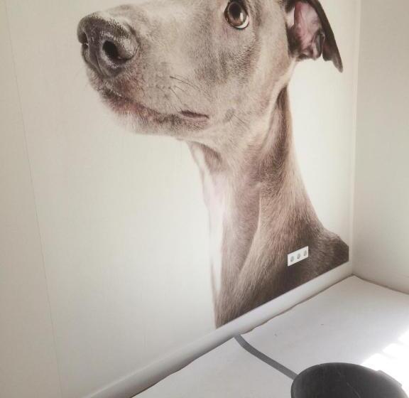 豪华工作室, Boetiek Hotel Kampen