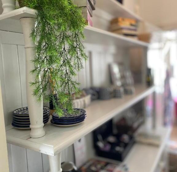 舒适型单人间, Bubbles & Bed