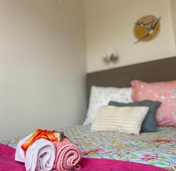 舒适型单人间, Bubbles & Bed