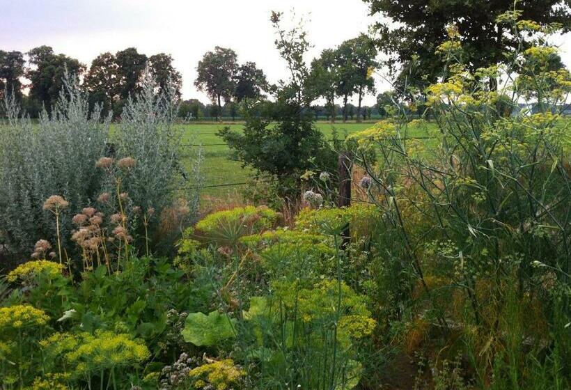 غرفة قياسية, De Bolderie