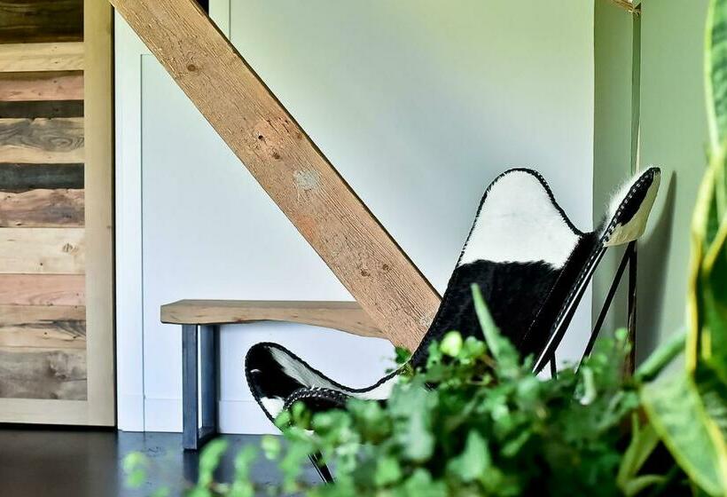 غرفة ديلوكس, De Woeste Wieven Op Erve Bonkert