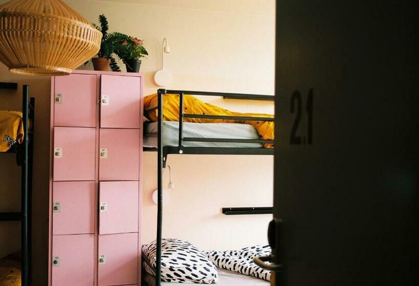 ルームシェアのワンベッド, Hostel Ani&haakien