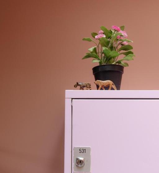 ルームシェアのワンベッド, Hostel Ani&haakien