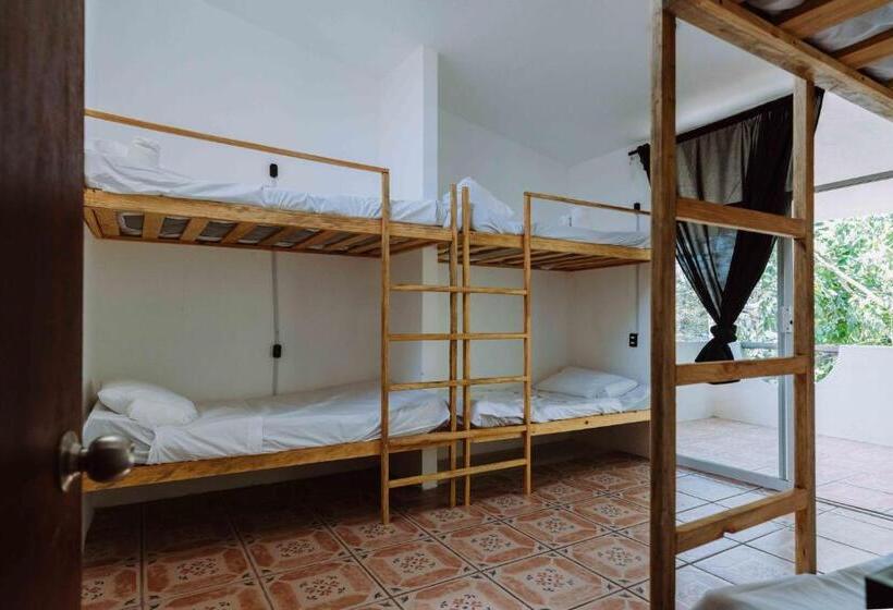 ルームシェアのワンベッド, Casa Del Alma