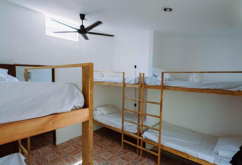 ルームシェアのワンベッド, Casa Del Alma