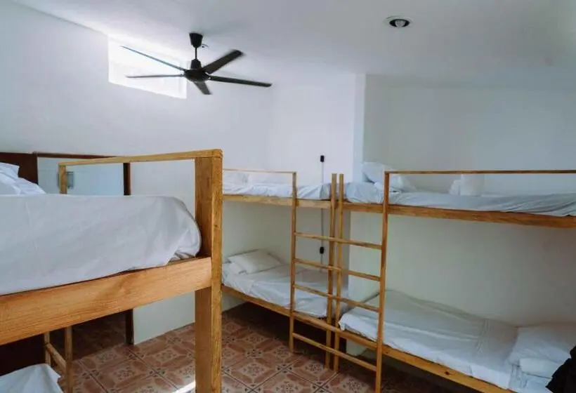 ルームシェアのワンベッド, Casa Del Alma
