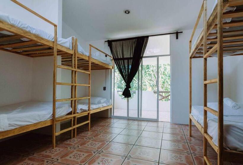 ルームシェアのワンベッド, Casa Del Alma