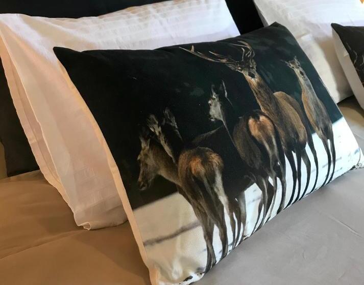 اتاق استاندارد, B&b Au 27