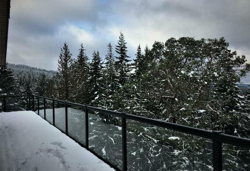 Номер Стандарт, Armand Heights