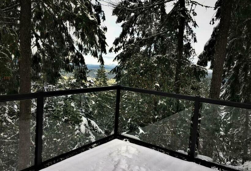 Standardzimmer, Armand Heights