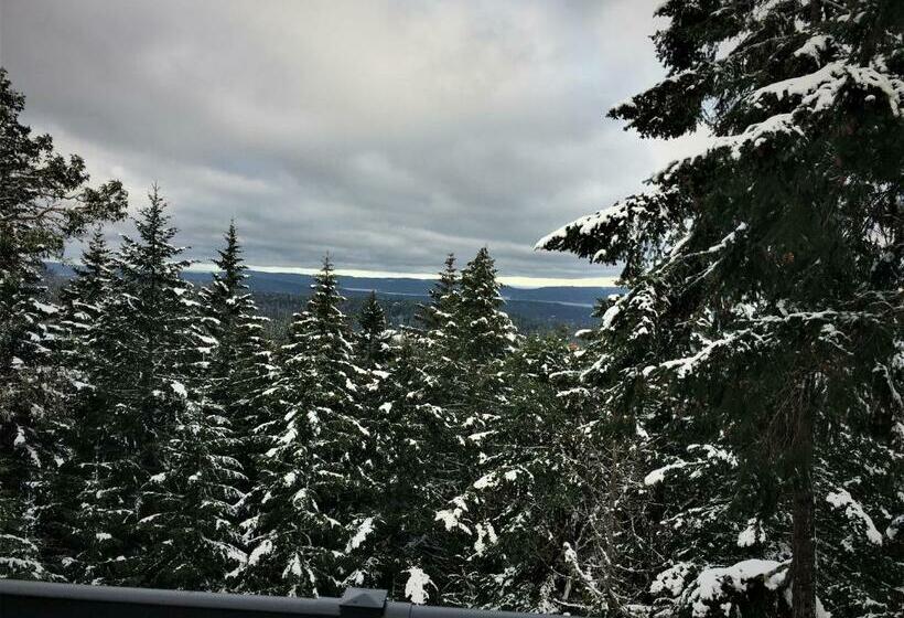 Standardzimmer, Armand Heights