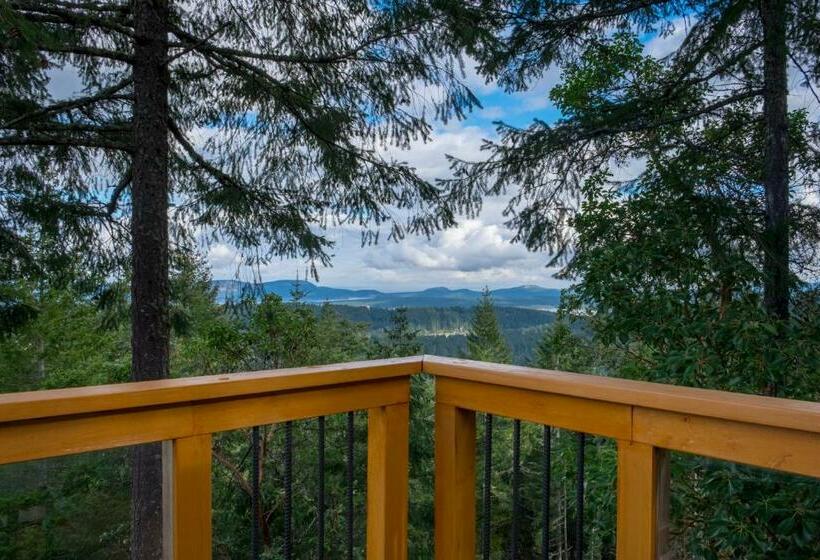 Standardzimmer, Armand Heights