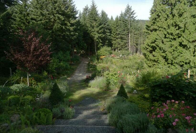 Standardzimmer, Armand Heights