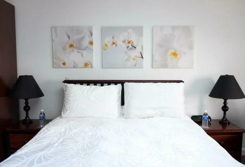 Standard-huone, Armand Heights