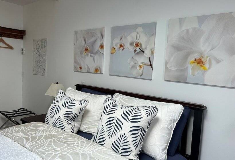 Standardzimmer, Armand Heights