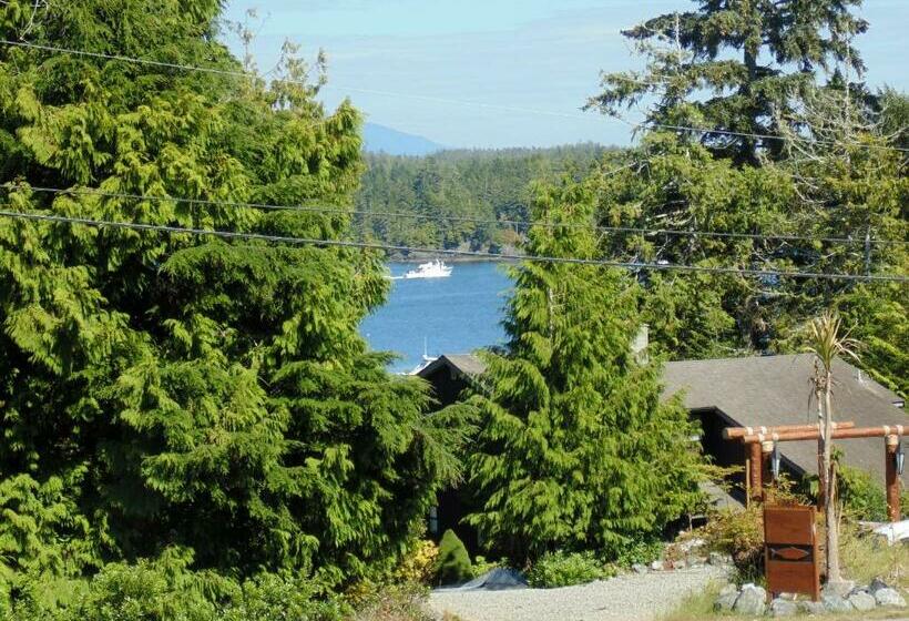 سوئیت با تخت بزرگ, Ocean Mist Guesthouse