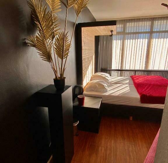 Номер Стандарт, Anno