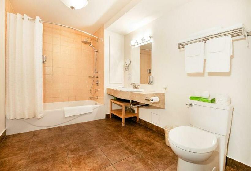 غرفة قياسية, Auberge Sous Les Arbres