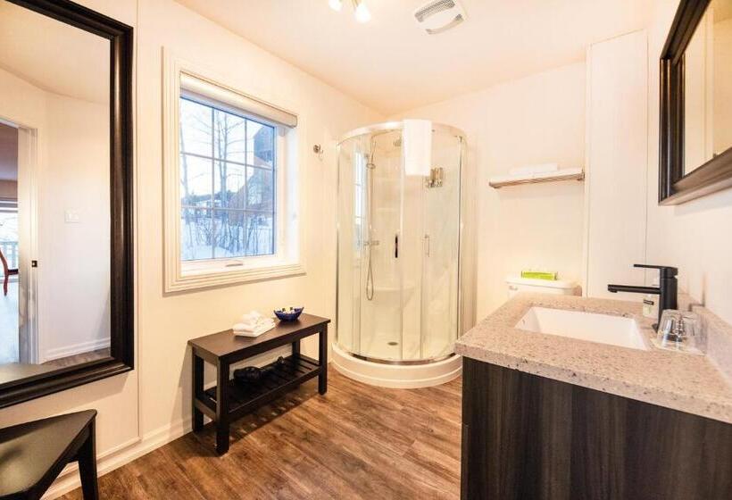 إستوديو قياسى, Auberge Sous Les Arbres