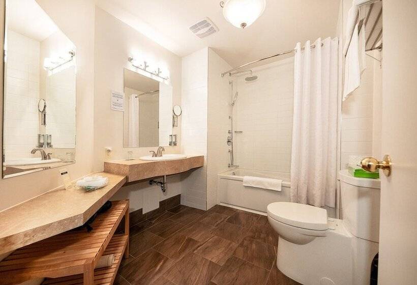 جناح كلاسيكي, Auberge Sous Les Arbres