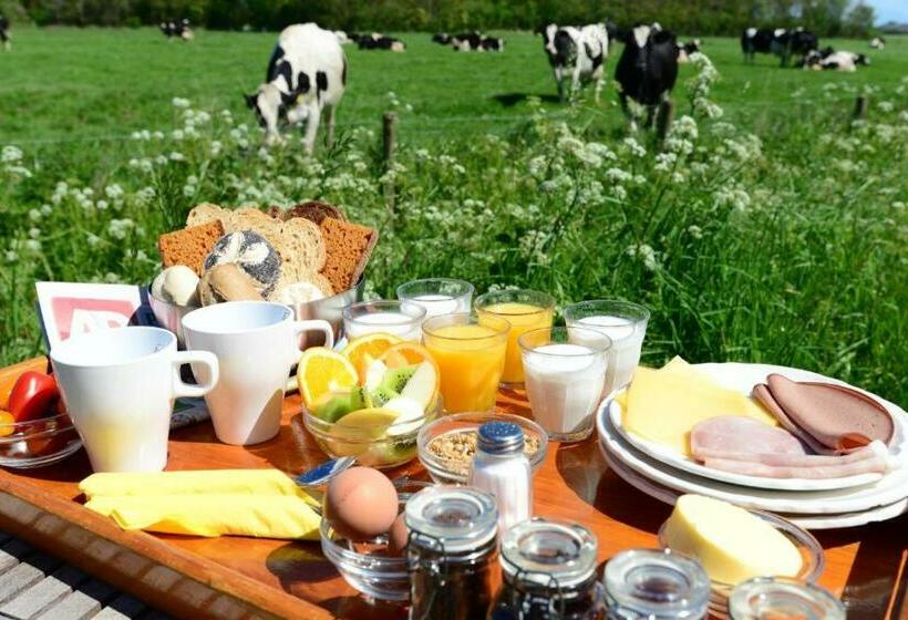 اتاق استاندارد با تراس, Bed & Bos De 14 Sterren