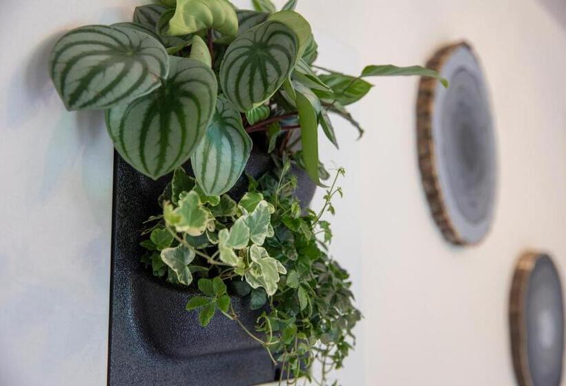 اتاق استاندارد با تراس, Bed & Bos De 14 Sterren