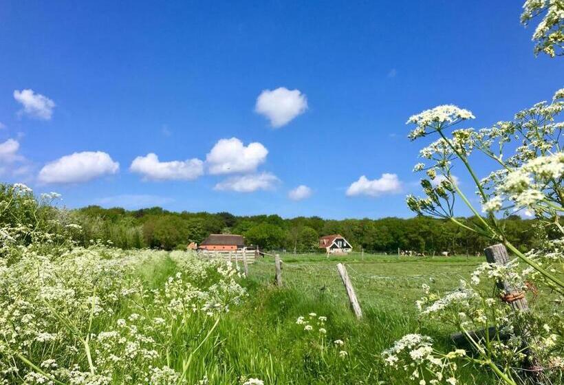 سوییت, Bed & Bos De 14 Sterren