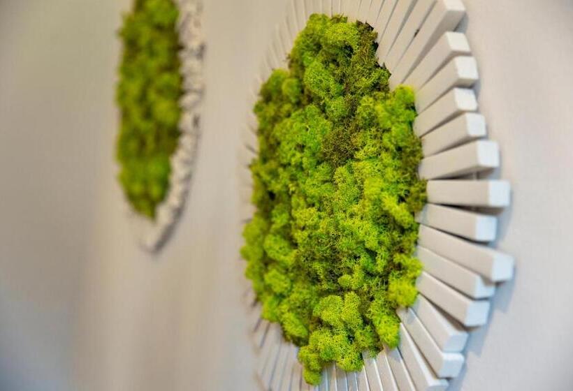 سوییت, Bed & Bos De 14 Sterren