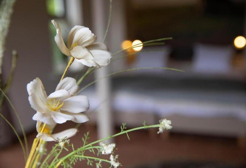 اتاق لوکس, Bed & Bos De 14 Sterren