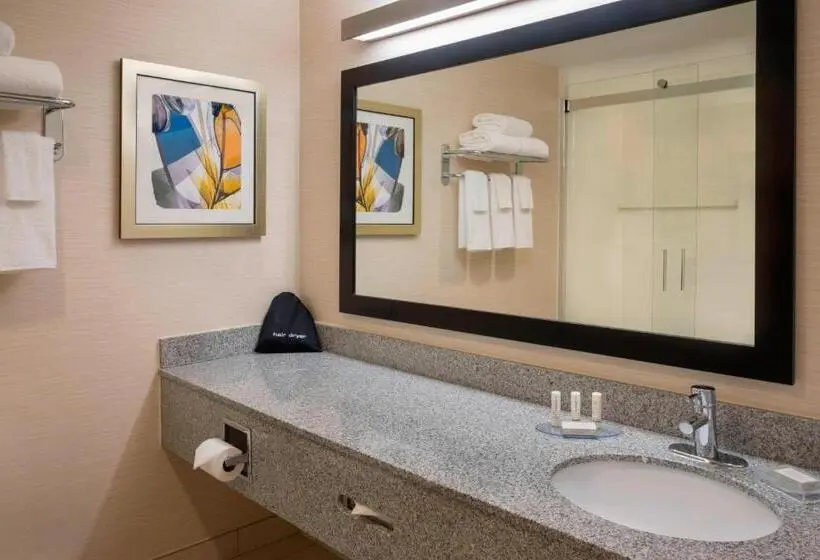 キングサイズベッドのスイートルーム, Fairfield Inn & Suites By Marriott Ottawa Kanata