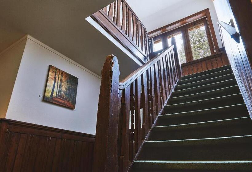 标准间, T Kruisselt