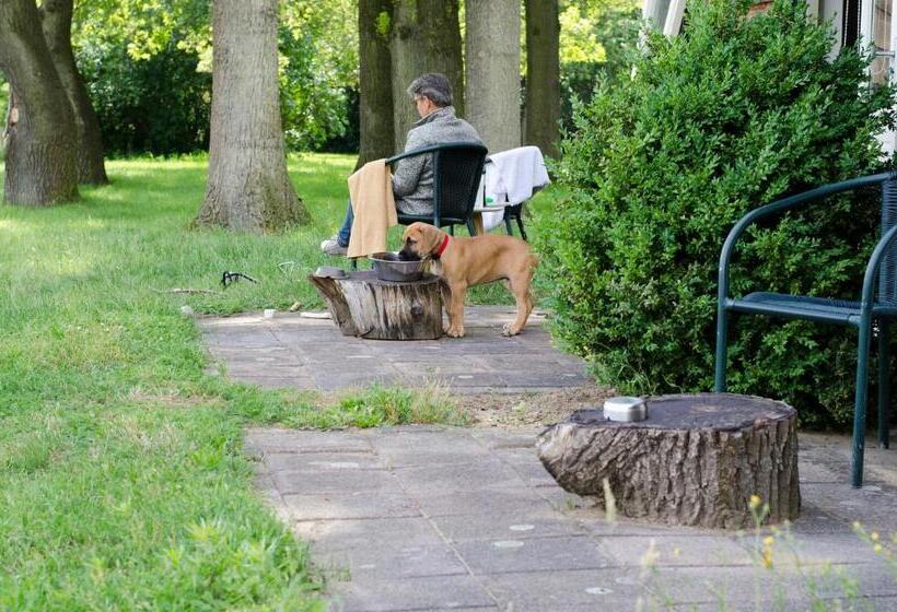 اتاق استاندارد با چشمانداز, Landhotel Diever