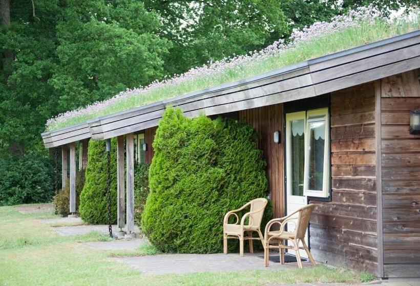 اتاق استاندارد با چشمانداز, Landhotel Diever