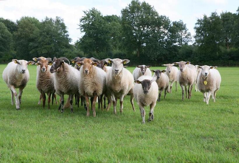 اتاق استاندارد با چشمانداز, Landhotel Diever