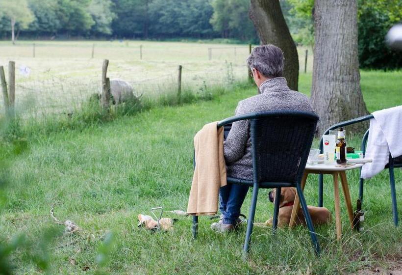 اتاق استاندارد با چشمانداز, Landhotel Diever