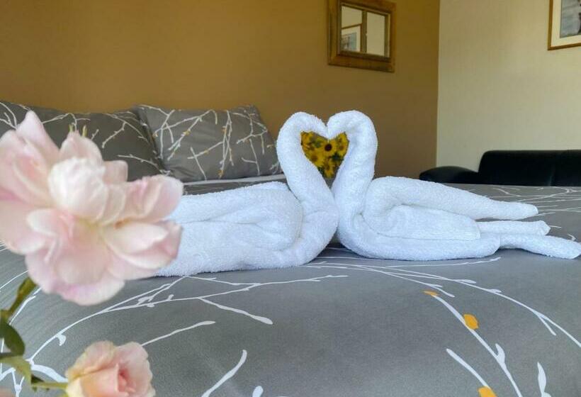 スタンダードルーム, Bear S Claw Lodge